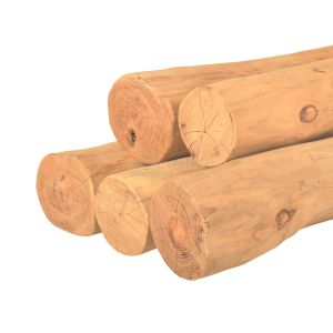 Robinia, spintvrij geschuurd, haaks Ø15-19cm