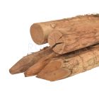Robinia paal geschild en gepunt kop diameter 12 14cm